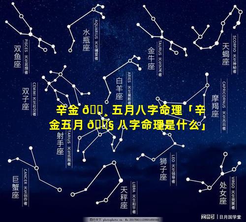 辛金 🌸 五月八字命理「辛金五月 🐧 八字命理是什么」